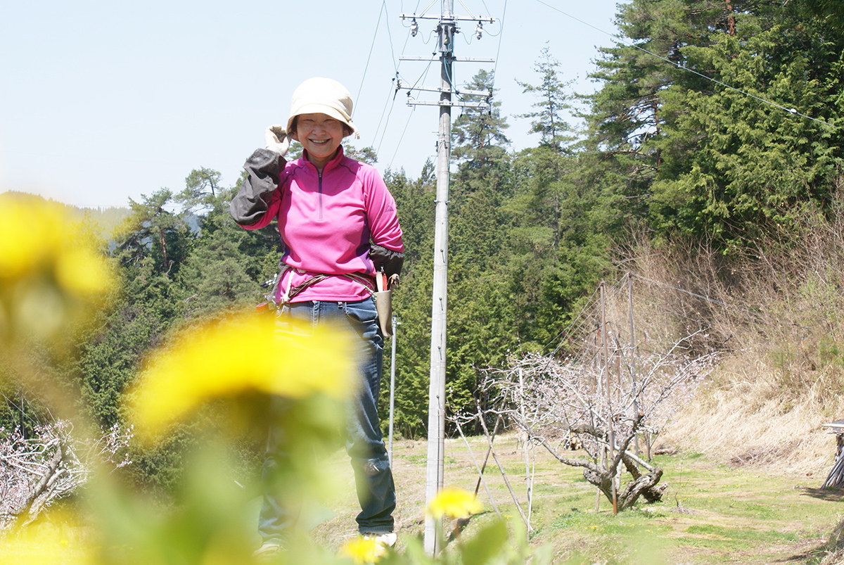 和田果樹園